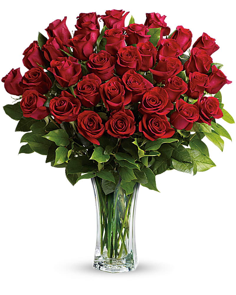 36 Love and Devotion - Long Stemmed Red Roses by Nouri's