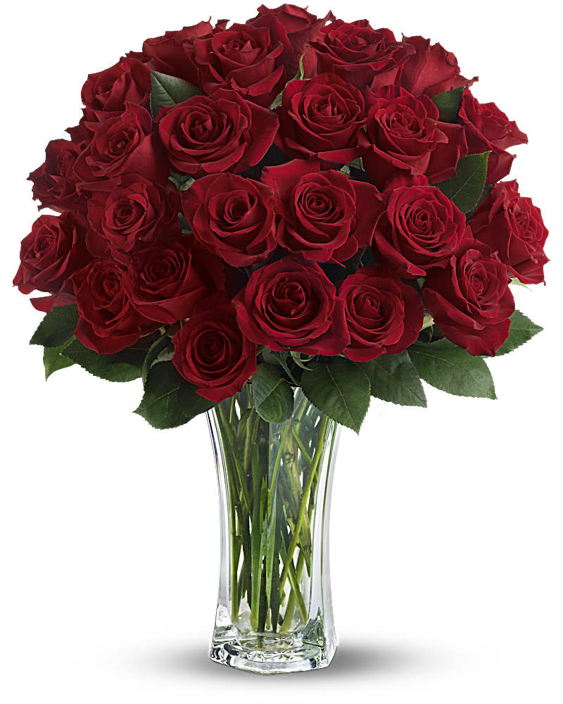 Love And Devotion Long Stemmed Red Roses